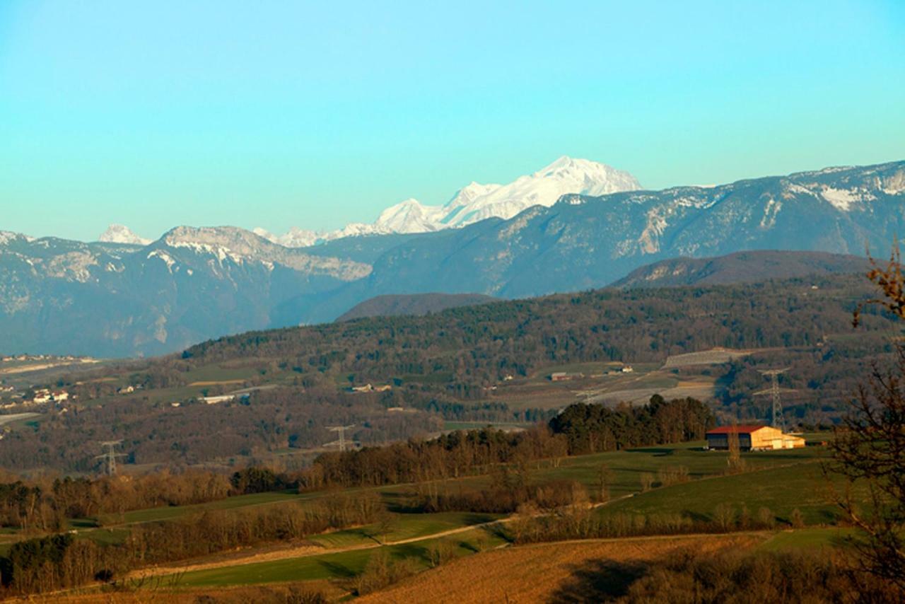 Le Manoir Bed and Breakfast Chaumont  Εξωτερικό φωτογραφία